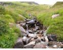 Gebirgsbach und Vorderrheinzufluss